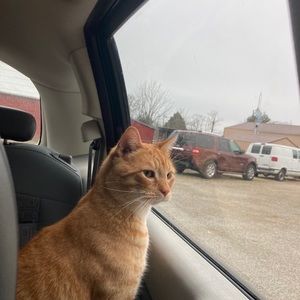 Meet your Posher, Rachel